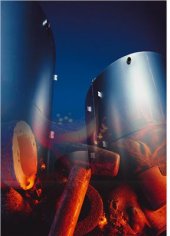 book Нержавеющие стали с низким содержанием углерода