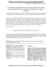 book The BH4 domain of anti-apoptotic Bcl-XL, but not that of the related Bcl-2, limits the voltage-dependent anion channel 1 (VDAC1)-mediated transfer of pro-apoptotic Ca2+ signals to mitochondria