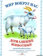 book Дидактический материал. Мир вокруг нас. Домашние животные