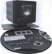 book Ультразвуковая диагностика в акушерстве и гинекологии понятным языком