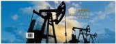 book Нефть и безопасность России