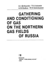 book Сбор и промысловая переработка газов на северных месторождениях России