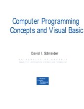 book Computer Programming Concepts and Visual Basic