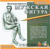 book Практический курс рисунка. Мужская фигура