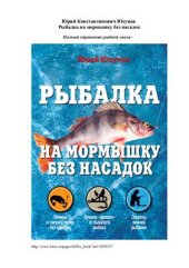 book Рыбалка на мормышку без насадок