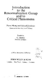 book Introduction to the renormalization group and critical phenomena