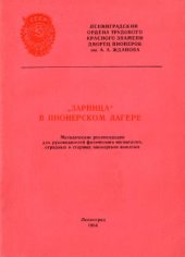 book Зарница в пионерском лагере