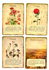 book Хранительницы сада, метафорические карты