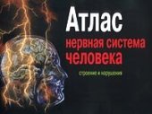 book Нервная система человека. Строение и нарушения: атлас