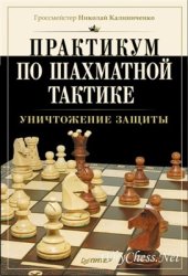 book Практикум по шахматной тактике. Уничтожение защиты