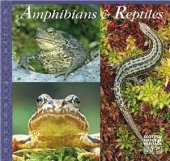 book Amphibians and reptiles. Naturally Scottish