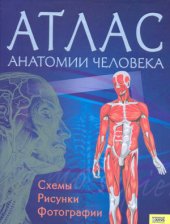 book Атлас анатомии человека