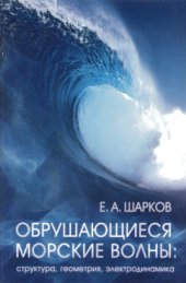 book Обрушающиеся морские волны: структура, геометрия, электродинамика