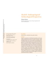 book Alcohol: Anthropological/Archaeological Perspectives
