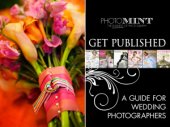 book Get Published: A Guide for Wedding Photographers