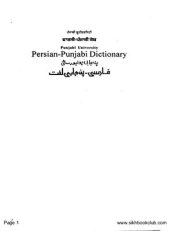 book Persian-Punjabi Dictionary