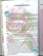 book Flores de Papel. Цветы из бумаги