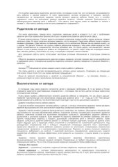 book Что делать, если ваш ребенок не говорит: Книга для тех, кому это интересно