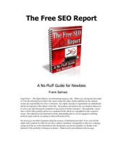 book The free SEO report. A no fluff guide for newbies