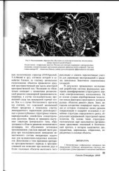 book Метод структурно-геологического прогноза при обработке космоснимков в задаче оптимизации поиска месторождений полезных ископаемых