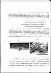 book Cold nuclear fusion mechanism at crack tip spearhead located deep under the ground