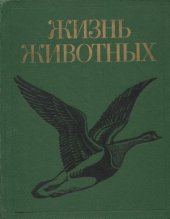 book Жизнь животных. В 7 томах. Том 6. Птицы