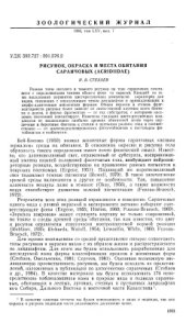 book Рисунок, окраска и места обитания саранчовых (Acridhdae)