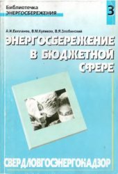 book Энергосбережение в бюджетной сфере