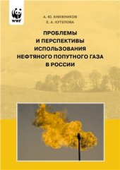 book Проблемы и перспективы использования нефтяного попутного газа в России