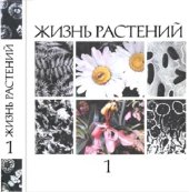 book Жизнь растений. Том 1. Введение. Бактерии и актиномицеты