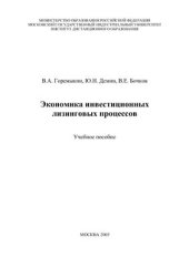 book Экономика инвестиционных лизинговых процессов