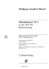 book Концерт для флейты Соль-мажор