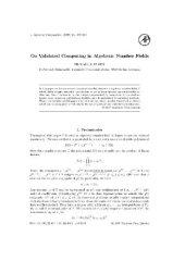 book Validated computing in algebraic number fields