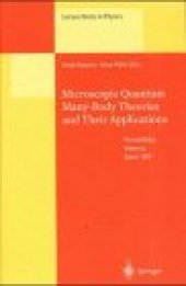 book Microscopic Quantum Many-Body Theories and Their Applications: Proceedings of a European Summer School Held at Valencia, Spain, 8–19 September 1997