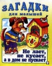 book Загадки для малышей