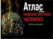 book Атлас. Нервная система человека. Строение и нарушения