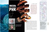 book Жизнь начиналась с РНК