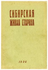 book Андроновские могилы