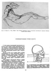 book Пластическая анатомия для художников. Том 1. Строение тела