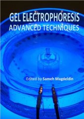 book Gel Electrophoresis - Advanced Techniques