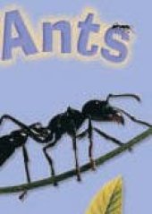 book Ants