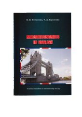 book Macroeconomics in English