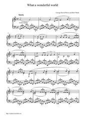 book What a wonderful world