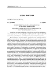 book Новые виды рода Gagea Salisb. (Liliaceae) из Западных районов Азии
