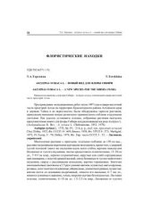 book Asclepias syriaca L. - новый вид для флоры Сибири