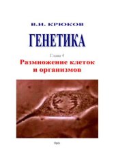 book Генетика. Глава 4. Размножение клеток и организмов