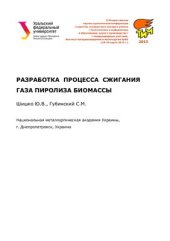 book Разработка процесса сжигания газа пиролиза биомассы