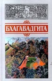 book Перевод с санскрита, исследование и примечания Семенцова В.С