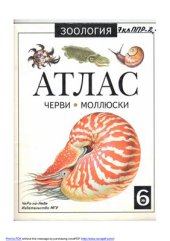 book Черви и моллюски. Атлас