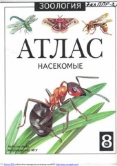 book Насекомые. Атлас